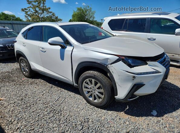 JTJDARDZ9M5028106 2021 LEXUS NX White წინა მარჯვენა