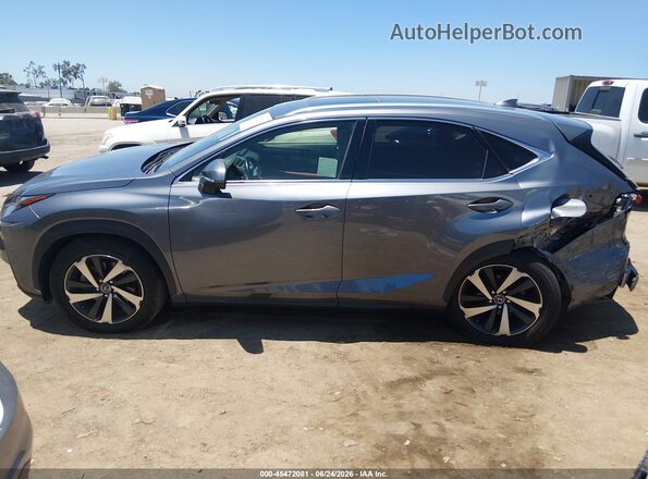 JTJGARBZ1M2187686 2021 LEXUS NX 300 Gray Панорамний вид салону 360°