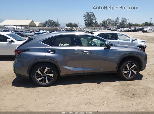 JTJGARBZ1M2187686 2021 LEXUS NX 300 Gray Вид задньої частини салону