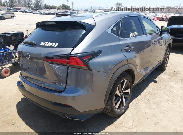 JTJGARBZ1M2187686 2021 LEXUS NX 300 Gray Задня права чверть