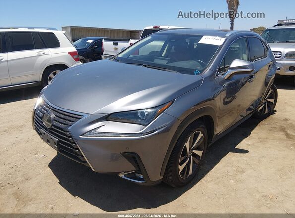 JTJGARBZ1M2187686 2021 LEXUS NX 300 Gray Передня ліва чверть