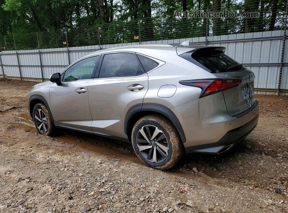 JTJGARBZ2M5034636 2021 LEXUS NX Silver Задня ліва чверть