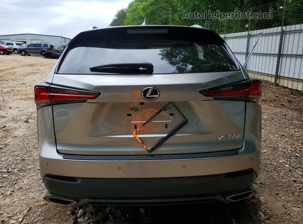 JTJGARBZ2M5034636 2021 LEXUS NX Silver Вид ззаду