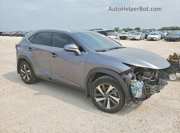 JTJGARBZ3L2174372 2020 LEXUS NX Gray Առջևի աջ