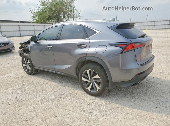 JTJGARBZ3L2174372 2020 LEXUS NX Gray Հետևի ձախ