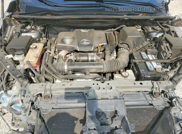 JTJGARBZ3L2174372 2020 LEXUS NX Gray Սալոնի հետևի տեսք