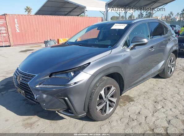 JTJGARBZ4M2199413 2021 LEXUS NX 300 Gray Vista tres cuartos delantera izquierda