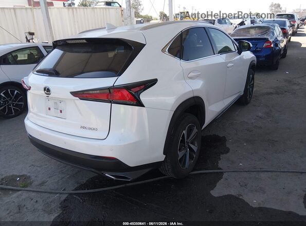 JTJGARBZ5M5022948 2021 LEXUS NX 300 White Հետևի աջ