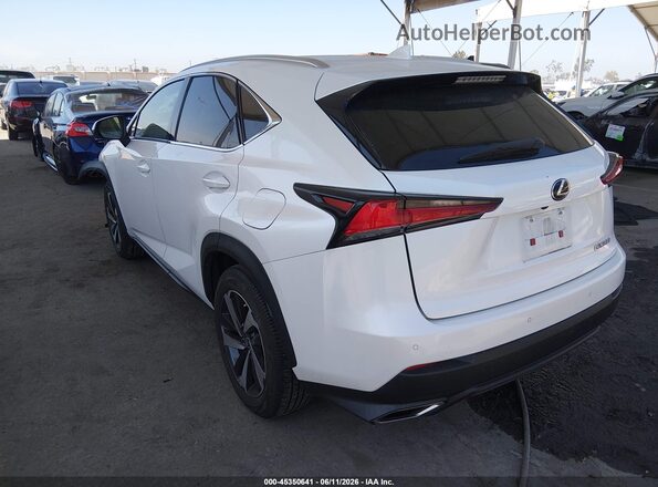 JTJGARBZ5M5022948 2021 LEXUS NX 300 White Հետևի ձախ