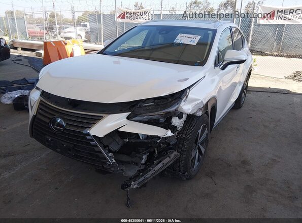 JTJGARBZ5M5022948 2021 LEXUS NX 300 White Առջևի ձախ երեք քառորդ տեսարան