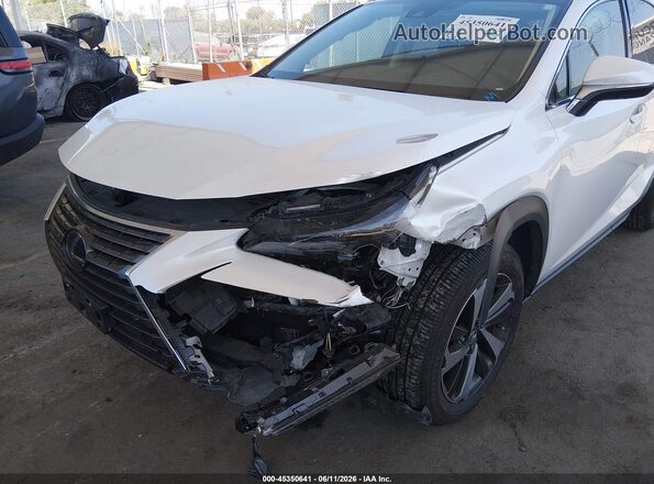 JTJGARBZ5M5022948 2021 LEXUS NX 300 White Դիմացի տեսք