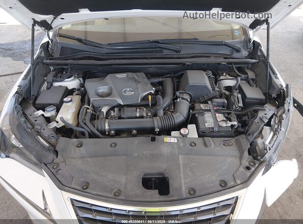 JTJGARBZ5M5022948 2021 LEXUS NX 300 White Հետևի տեսք