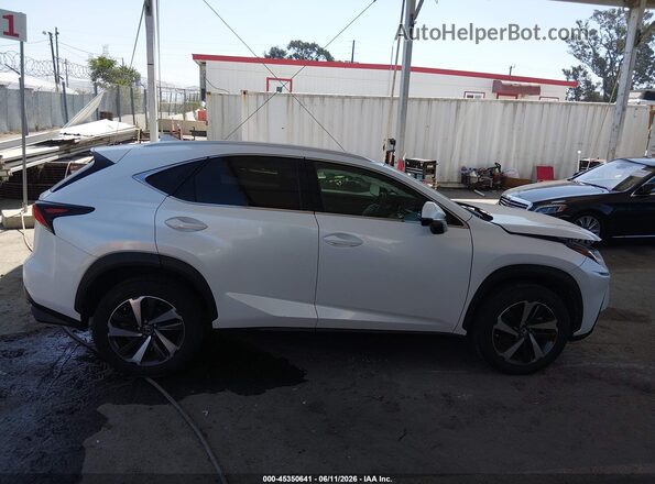 JTJGARBZ5M5022948 2021 LEXUS NX 300 White Սալոնի հետևի տեսք