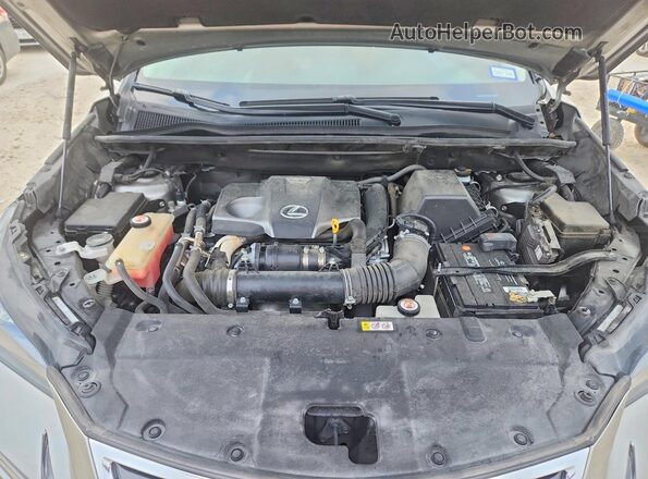 JTJGARBZ6L5004084 2020 LEXUS NX Silver ძრავის განყოფილების ხედი