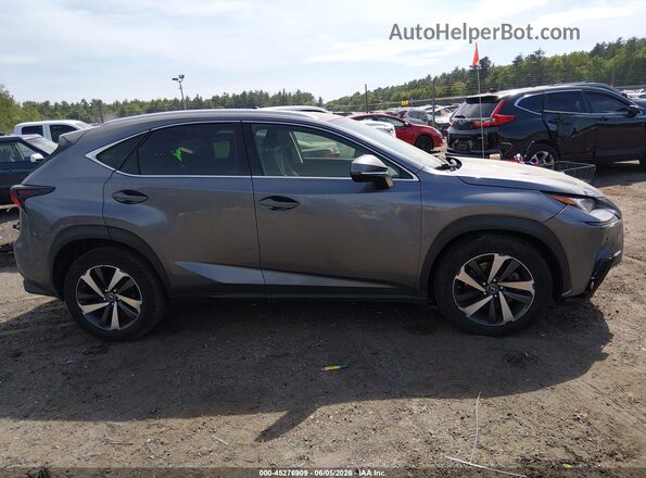 JTJGARDZ2L2232601 2020 LEXUS NX 300 Gray Widok wnętrza z tyłu