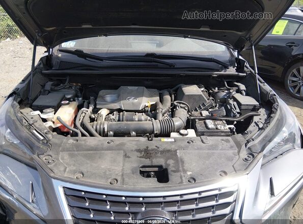 JTJGARDZ2L2232601 2020 LEXUS NX 300 Gray Widok z tyłu