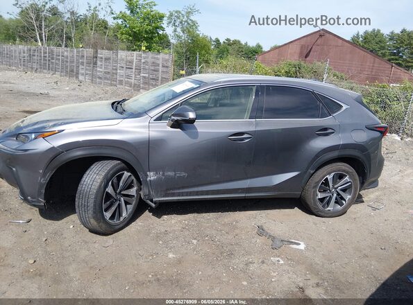 JTJGARDZ2L2232601 2020 LEXUS NX 300 Gray Widok wnętrza 360 stopni