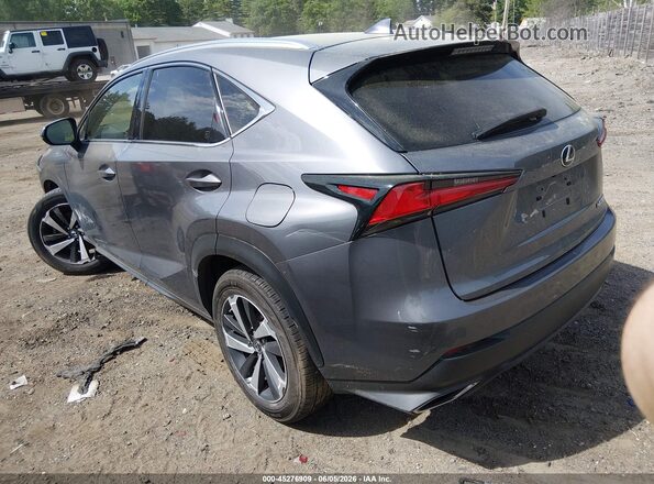 JTJGARDZ2L2232601 2020 LEXUS NX 300 Gray Tył lewy