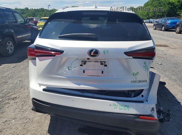 JTJGARDZ2L5003382 2020 LEXUS NX White Widok z tyłu