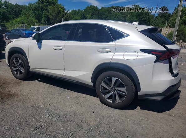 JTJGARDZ2L5003382 2020 LEXUS NX White Tył lewy