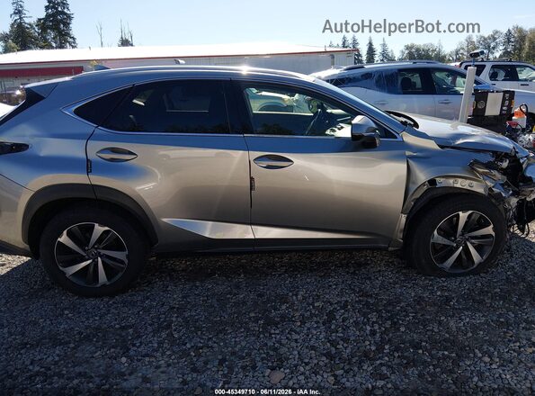 JTJGARDZ2M2243406 2021 LEXUS NX 300 Silver უკანა სალონის ხედი