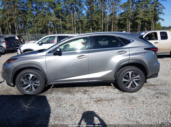JTJGARDZ2M2243406 2021 LEXUS NX 300 Silver სალონის 360-გრადუსიანი ხედი