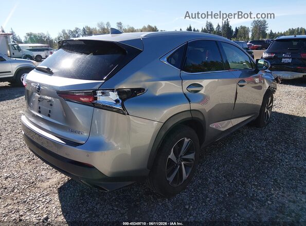 JTJGARDZ2M2243406 2021 LEXUS NX 300 Silver უკანა მარჯვენა