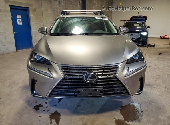 JTJGARDZ3M2239798 2021 LEXUS NX Gray Դիմացի տեսք