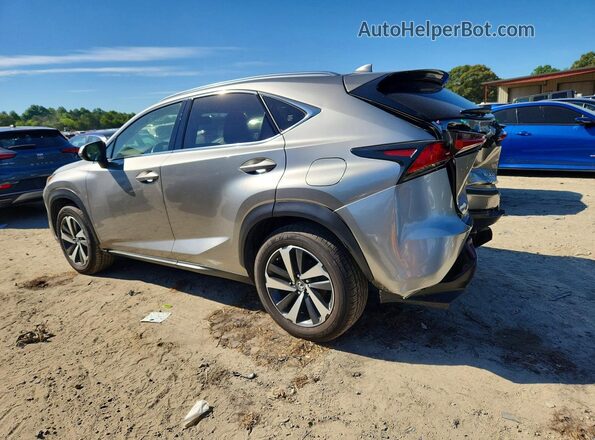 JTJGARDZ5L5013467 2020 LEXUS NX Gray Հետևի ձախ