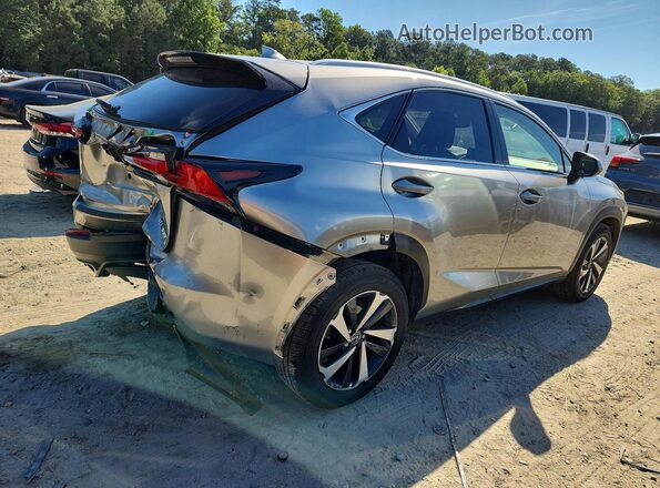 JTJGARDZ5L5013467 2020 LEXUS NX Gray Հետևի աջ