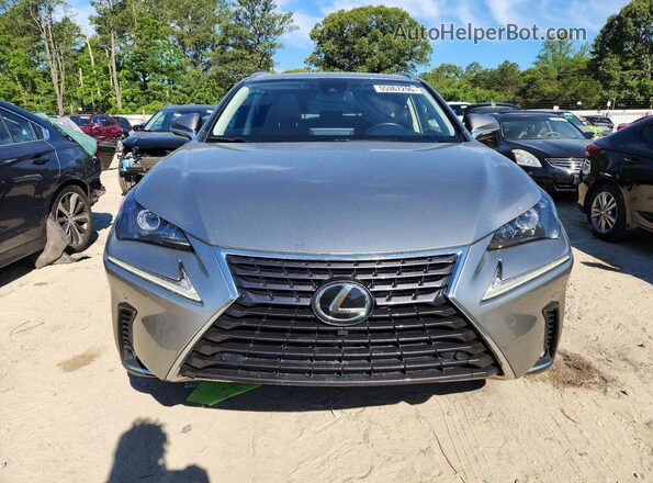 JTJGARDZ5L5013467 2020 LEXUS NX Gray Դիմացի տեսք