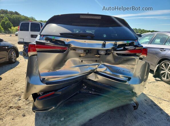 JTJGARDZ5L5013467 2020 LEXUS NX Gray Հետևի տեսք