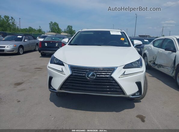 JTJGARDZ6L5018581 2020 LEXUS NX 300 White 