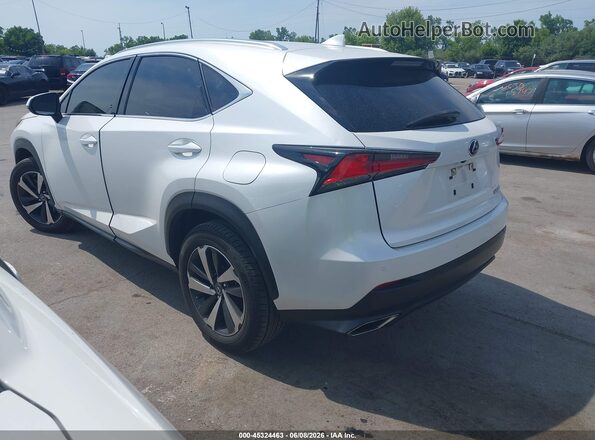 JTJGARDZ6L5018581 2020 LEXUS NX 300 White 