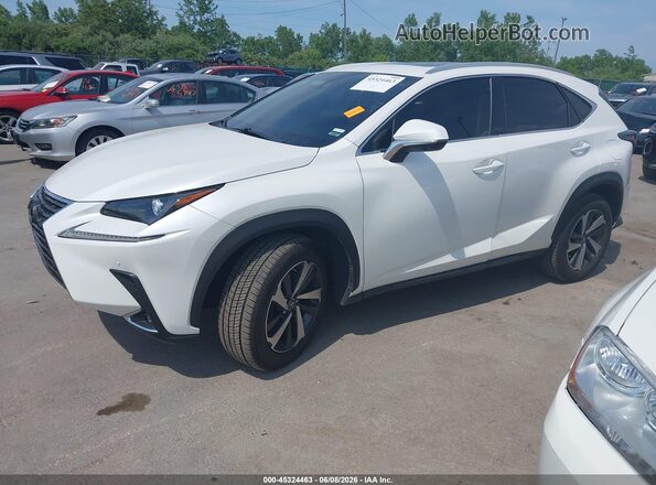 JTJGARDZ6L5018581 2020 LEXUS NX 300 White 