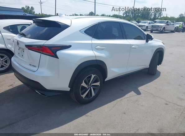 JTJGARDZ6L5018581 2020 LEXUS NX 300 White 