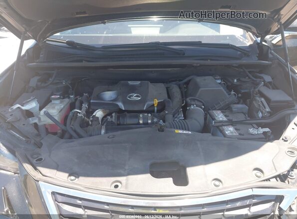 JTJGARDZ6M2263741 2021 LEXUS NX 300 Black Հետևի տեսք