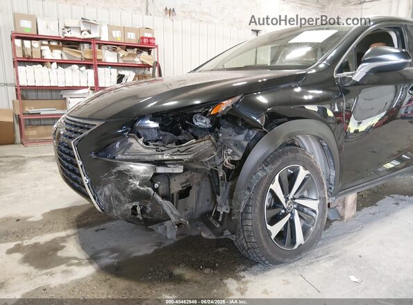 JTJGARDZ7L2223392 2020 LEXUS NX 300 Black Front view