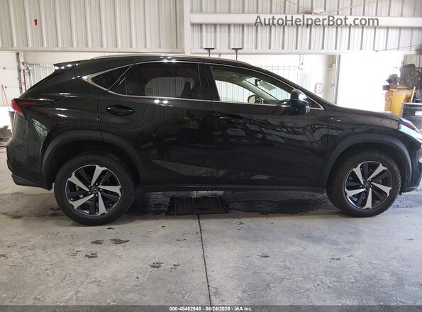 JTJGARDZ7L2223392 2020 LEXUS NX 300 Black Rear interior view