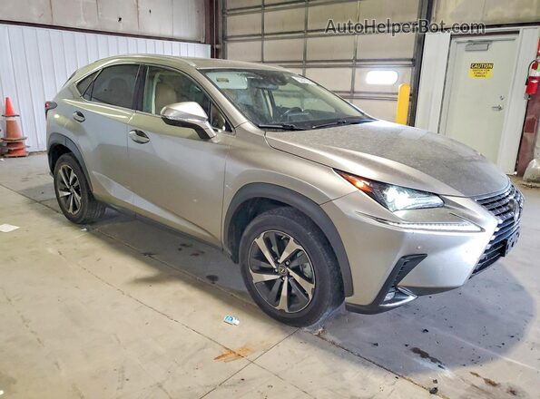 JTJGARDZ7L5009274 2020 LEXUS NX Gold Առջևի աջ