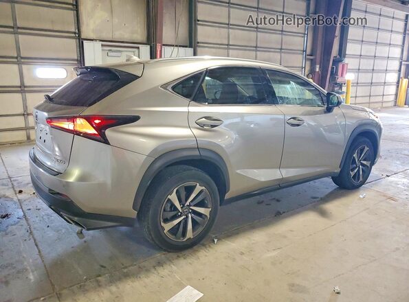 JTJGARDZ7L5009274 2020 LEXUS NX Gold Հետևի աջ