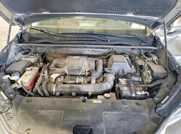 JTJGARDZ7L5009274 2020 LEXUS NX Gold Շարժիչի բաժամունքի տեսք