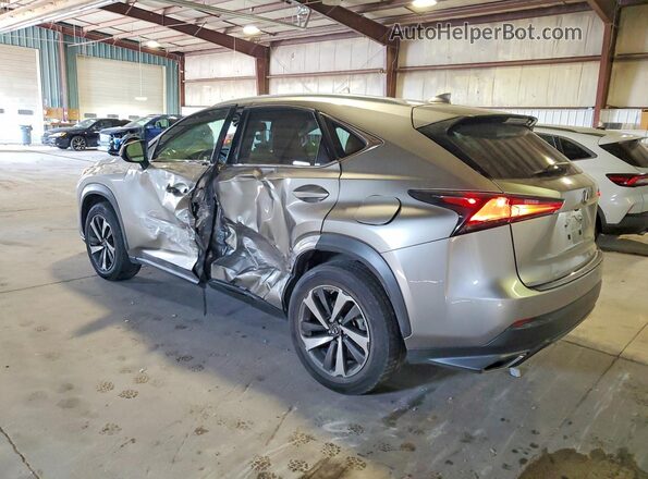 JTJGARDZ7L5009274 2020 LEXUS NX Gold Հետևի ձախ