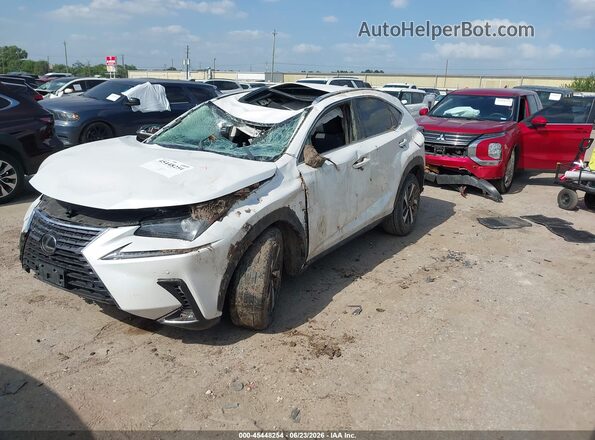 JTJGARDZ8M5021032 2021 LEXUS NX 300 White Առջևի ձախ երեք քառորդ տեսարան