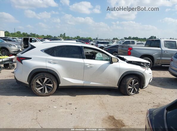 JTJGARDZ8M5021032 2021 LEXUS NX 300 White Սալոնի հետևի տեսք