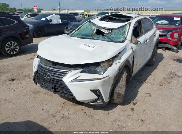 JTJGARDZ8M5021032 2021 LEXUS NX 300 White Դիմացի տեսք