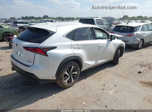 JTJGARDZ8M5021032 2021 LEXUS NX 300 White Հետևի աջ