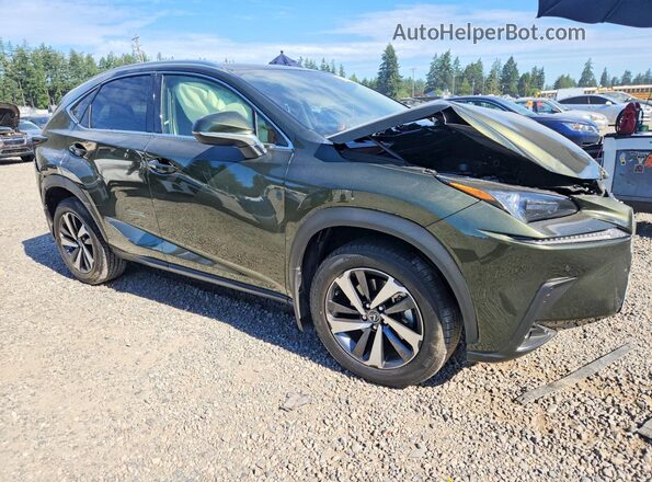 JTJGARDZXM2259305 2021 LEXUS NX Green წინა მარჯვენა