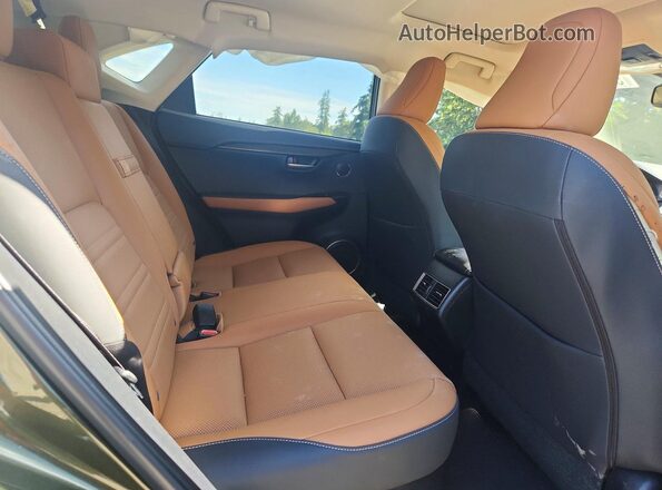 JTJGARDZXM2259305 2021 LEXUS NX Green უკანა სალონის ხედი