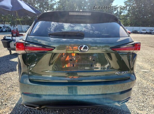 JTJGARDZXM2259305 2021 LEXUS NX Green უკანა ხედი